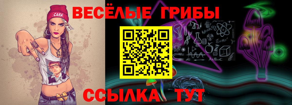 Галлюциногенные грибы GOLDEN TEACHER  сколько стоит  Саянск  Вход с VPN 
